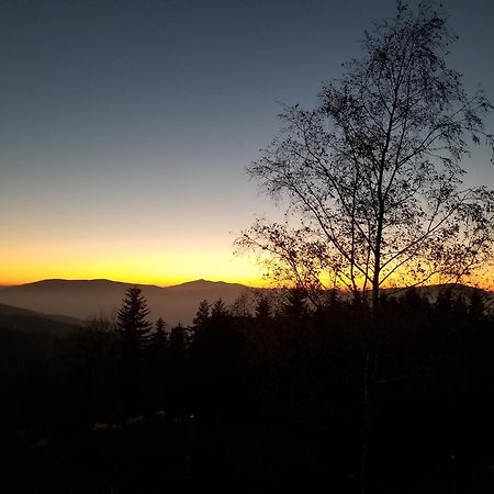 Mountain Cabin Pcim 외부 사진